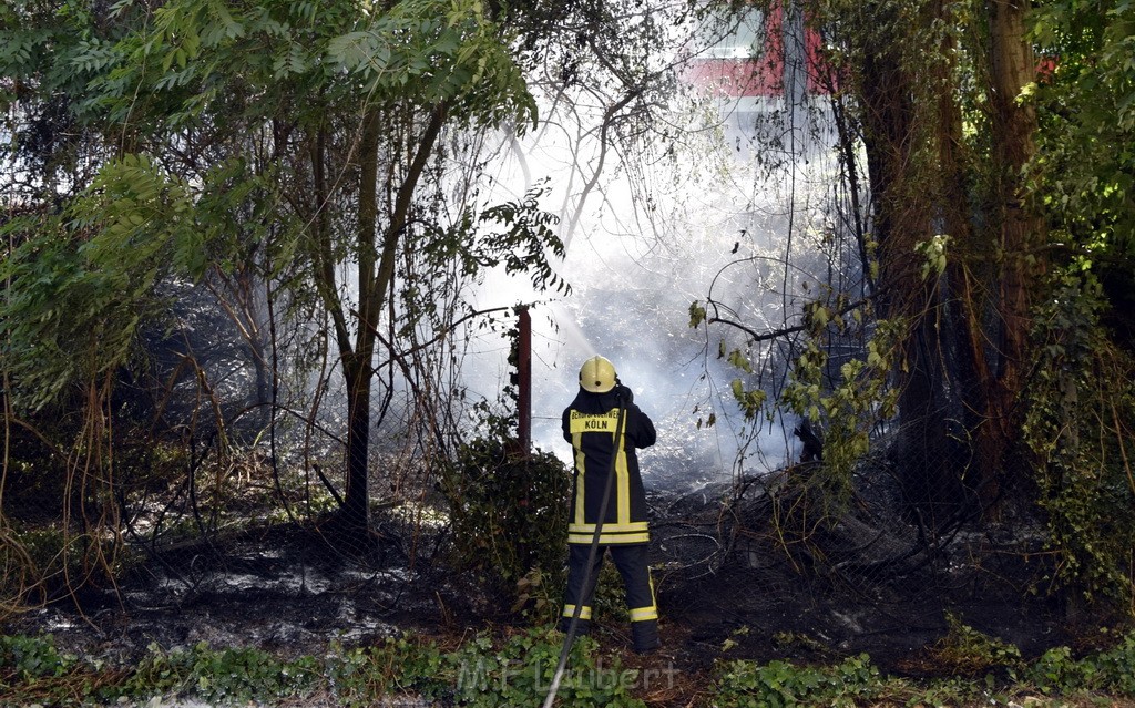 Bodenfeuer Koeln Kalk Dillenburgerstr Parkhaus P17.JPG - Miklos Laubert